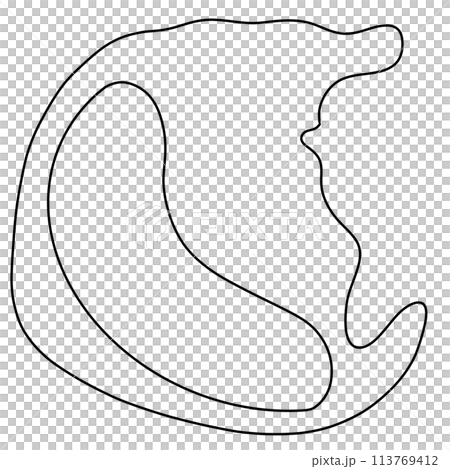 Macrophage are a type of white blood cell. Macrophage doodle. Macrophage are a type of white blood cell. Macrophage doodle. 113769412