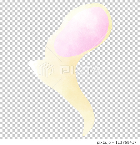 Malleus is a small ear bone Malleus is a small ear bone 113769417