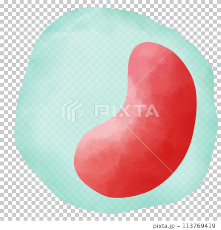 Monocyte is a type of white blood cell. Monocyte is a type of white blood cell. 113769419