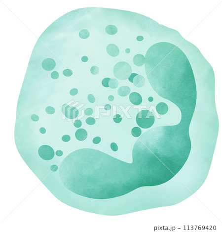 Neutrophil is a type of granulocyte white blood cell. 113769420