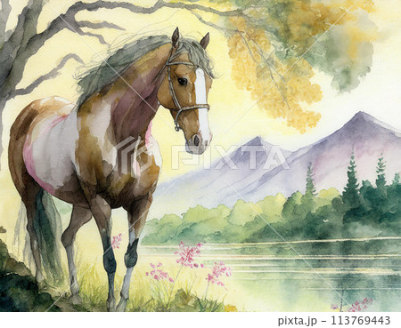 水彩で描いた馬と桜の木のイラスト素材 [113769443] - PIXTA