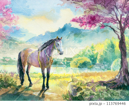 桜並木を行く馬のイラスト素材 [113769446] - PIXTA