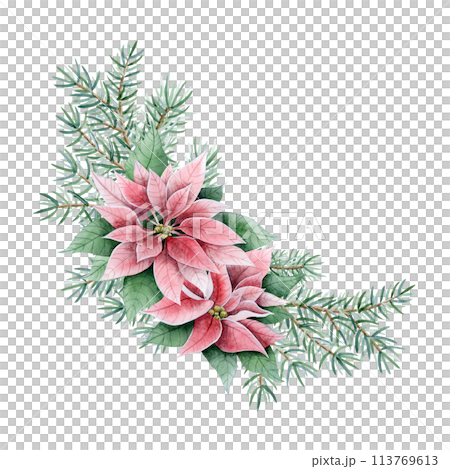 Christmas floral corner composition with poinsettia flowers and fir tree branches watercolor illustration isolated on white. Hand drawn winter plants for holiday season, greeting banners and cards Christmas floral corner composition with poinsettia flowers and fir tree branches watercolor illustration isolated on white. Hand drawn winter plants for holiday season, greeting banners and cards 113769613