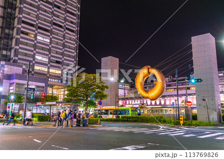 日本の東京都市景観 錦糸町駅などを望む=令和6年4月20日 日本の東京都市景観 錦糸町駅などを望む=令和6年4月20日 113769826