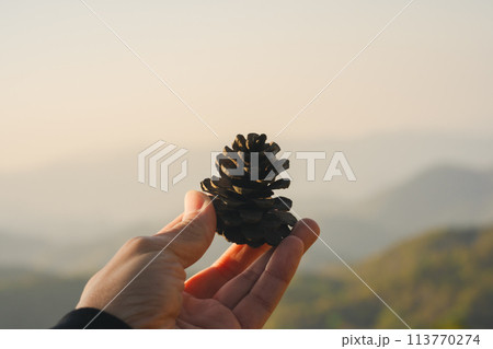 nature traveling with hand hold pine cones and see sunrise with layer of mountain 113770274