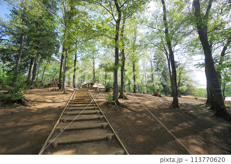 野山北公園 冒険の森 野山北公園 冒険の森 113770620