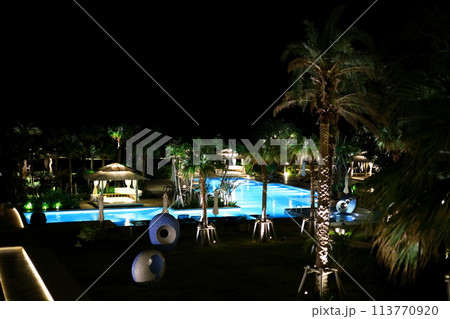 ANAインターコンチネンタル石垣リゾートの庭の夜景 113770920