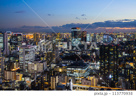 麻布台ヒルズから見る東京夕景 113770938