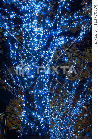 六本木イルミネーション2023 113770970