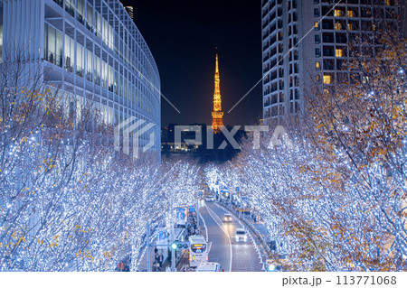 六本木イルミネーション2023 113771068