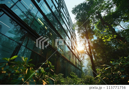 Sunlight and Glass Sunlight and Glass 113771756