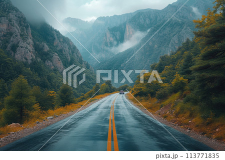 Car on a wet road amidst mountain fog. 113771835
