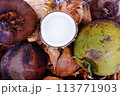 Coco, coconut and cocoanut on coconut shell background 113771903