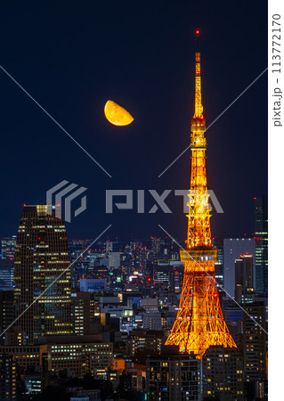 月と東京タワー(恵比寿から) 113772170