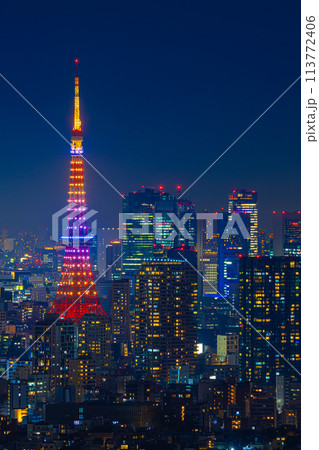 東京タワー 冬ライトアップ夜景 113772406