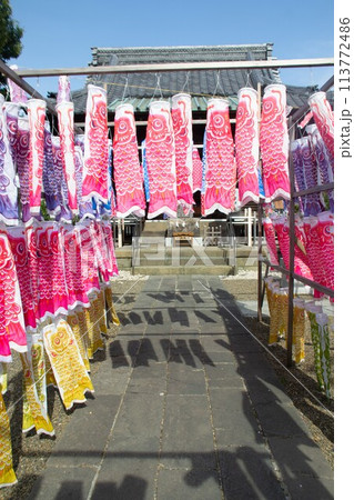 鯉のぼり 113772486