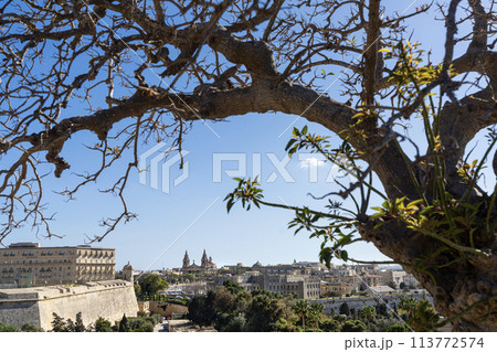 Panorama of Valletta, Malta Panorama of Valletta, Malta 113772574