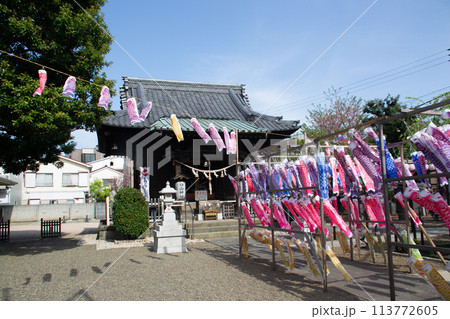 鯉のぼり 鯉のぼり 113772605