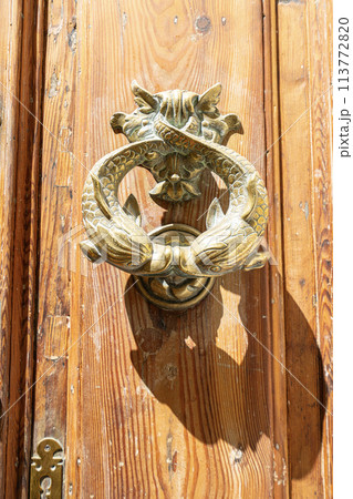 fish-shaped handles in the doors fish-shaped handles in the doors 113772820