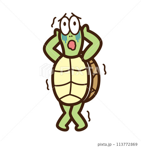 ぶるぶる怯えて、震えが止まらないカメ ぶるぶる怯えて、震えが止まらないカメ 113772869