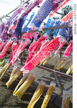 鯉のぼり 鯉のぼり 113773102