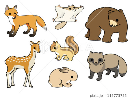 森の動物たちのイラストセット 113773733