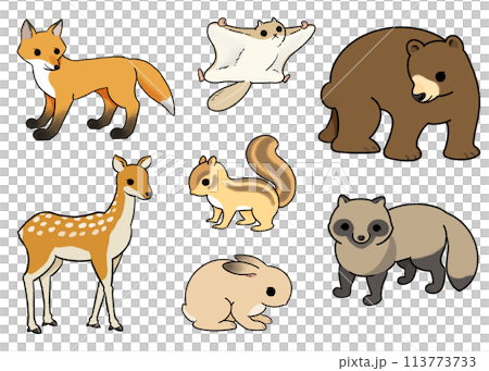 森の動物たちのイラストセット 113773733