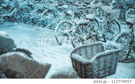 寒い冬のイメージ 寒い冬のイメージ 113774057