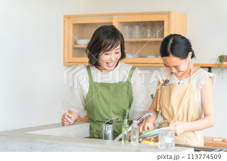 母親・ママの手伝いでお皿洗いをする娘・女の子（お手伝い） 113774509