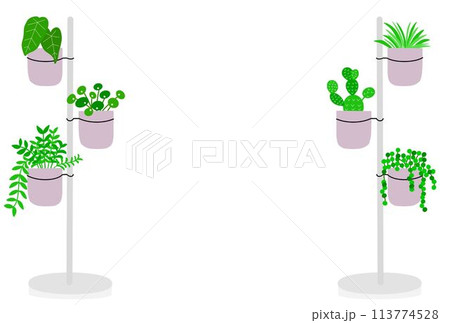 プランタースタンドの観葉植物ポストカード プランタースタンドの観葉植物ポストカード 113774528