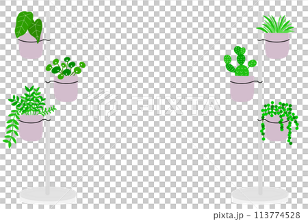 プランタースタンドの観葉植物ポストカード プランタースタンドの観葉植物ポストカード 113774528
