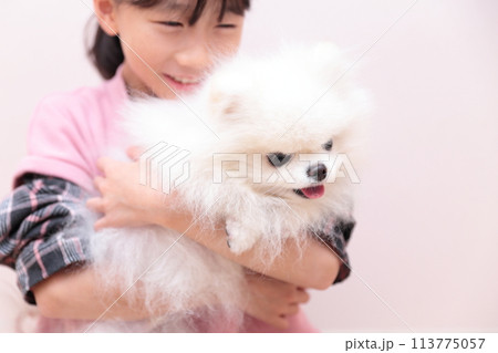 愛犬ポメラニアンと遊ぶ女の子 愛犬ポメラニアンと遊ぶ女の子 113775057
