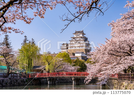 兵庫県姫路市　姫路城と桜と赤い橋 113775070