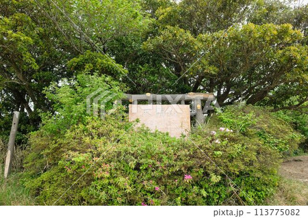 横須賀の大楠山 113775082