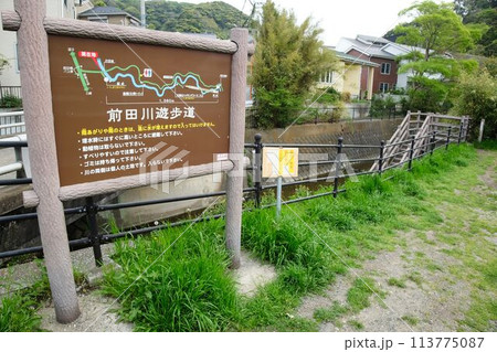 逗子の前田川遊歩道 逗子の前田川遊歩道 113775087