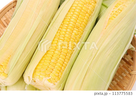トウモロコシ　茹でる前　薄皮を付けたまま茹でる 113775583