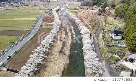 三次市三和町【美波羅川千本桜】空撮_No28 三次市三和町【美波羅川千本桜】空撮_No28 113775682