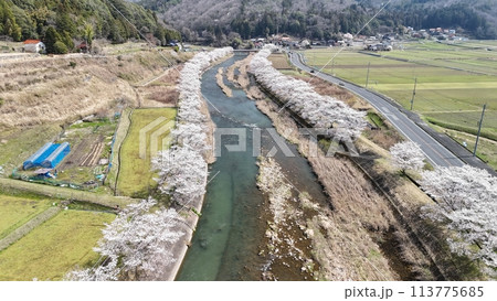 三次市三和町【美波羅川千本桜】空撮_No02 三次市三和町【美波羅川千本桜】空撮_No02 113775685