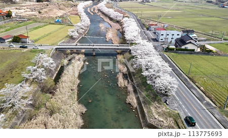 三次市三和町【美波羅川千本桜】空撮_No06 三次市三和町【美波羅川千本桜】空撮_No06 113775693