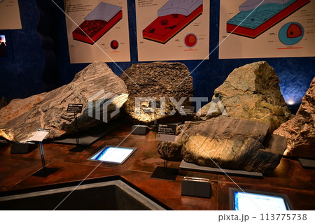 入生田にある神奈川県立生命の星地球博物館 113775738