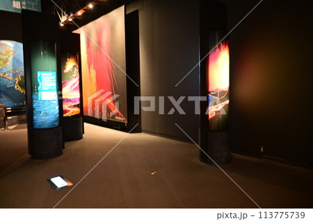 入生田にある神奈川県立生命の星地球博物館 入生田にある神奈川県立生命の星地球博物館 113775739