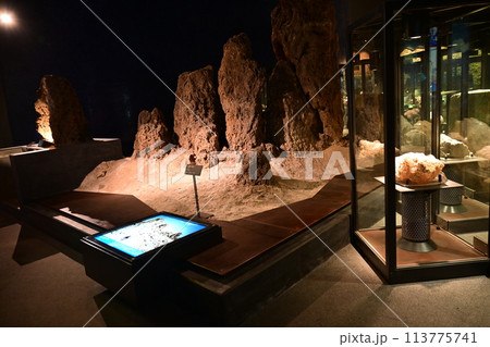 入生田にある神奈川県立生命の星地球博物館 入生田にある神奈川県立生命の星地球博物館 113775741