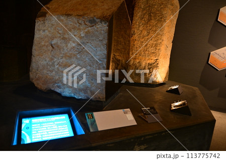 入生田にある神奈川県立生命の星地球博物館 113775742