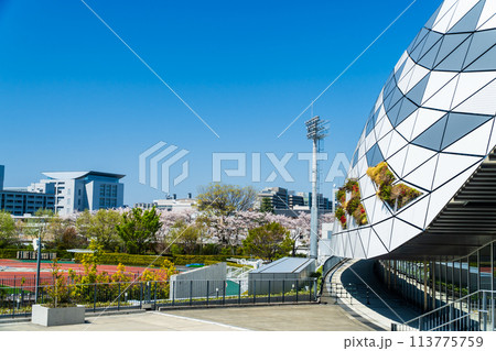 味の素スタジアム　AGFフィールド 113775759