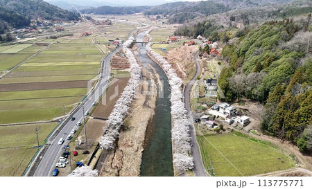 三次市三和町【美波羅川千本桜】空撮_No11 三次市三和町【美波羅川千本桜】空撮_No11 113775771