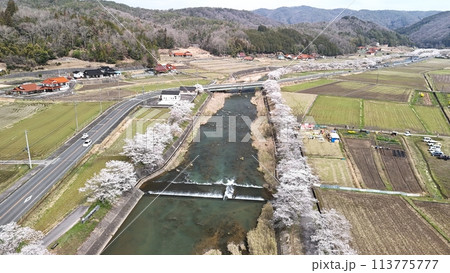 三次市三和町【美波羅川千本桜】空撮_No17 113775777