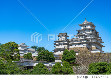 【世界遺産 姫路城】【日本100名城】晴れた初夏の天守群と建造物 兵庫県姫路市 【世界遺産 姫路城】【日本100名城】晴れた初夏の天守群と建造物 兵庫県姫路市 113775825