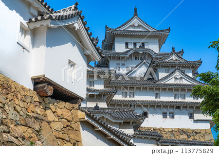 【世界遺産 姫路城】【日本100名城】本丸西側から見た天守群1　兵庫県姫路市 113775829