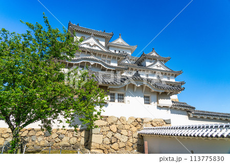 【世界遺産 姫路城】【日本100名城】本丸西側から見た天守群2　兵庫県姫路市 113775830