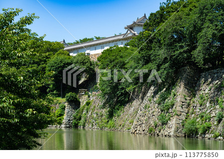 【世界遺産 姫路城】【日本100名城】内堀とワの櫓と渡櫓1　兵庫県姫路市 113775850